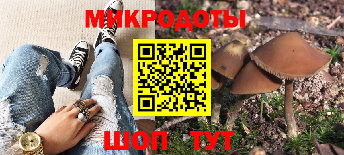 Галлюциногенные грибы мицелий  купить наркоту  Елизово  Вход с VPN 