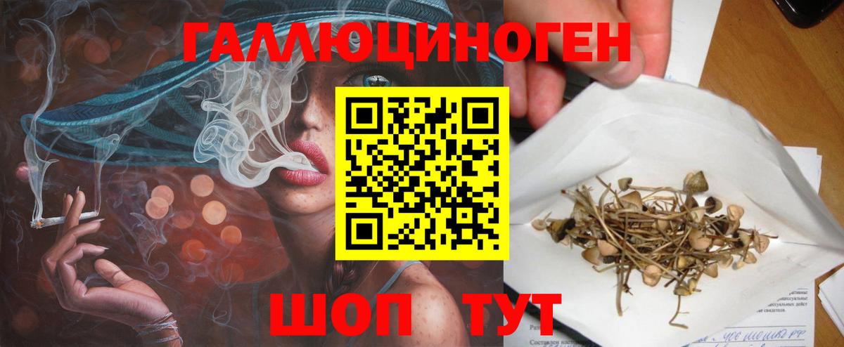 Галлюциногенные грибы мицелий Елизово